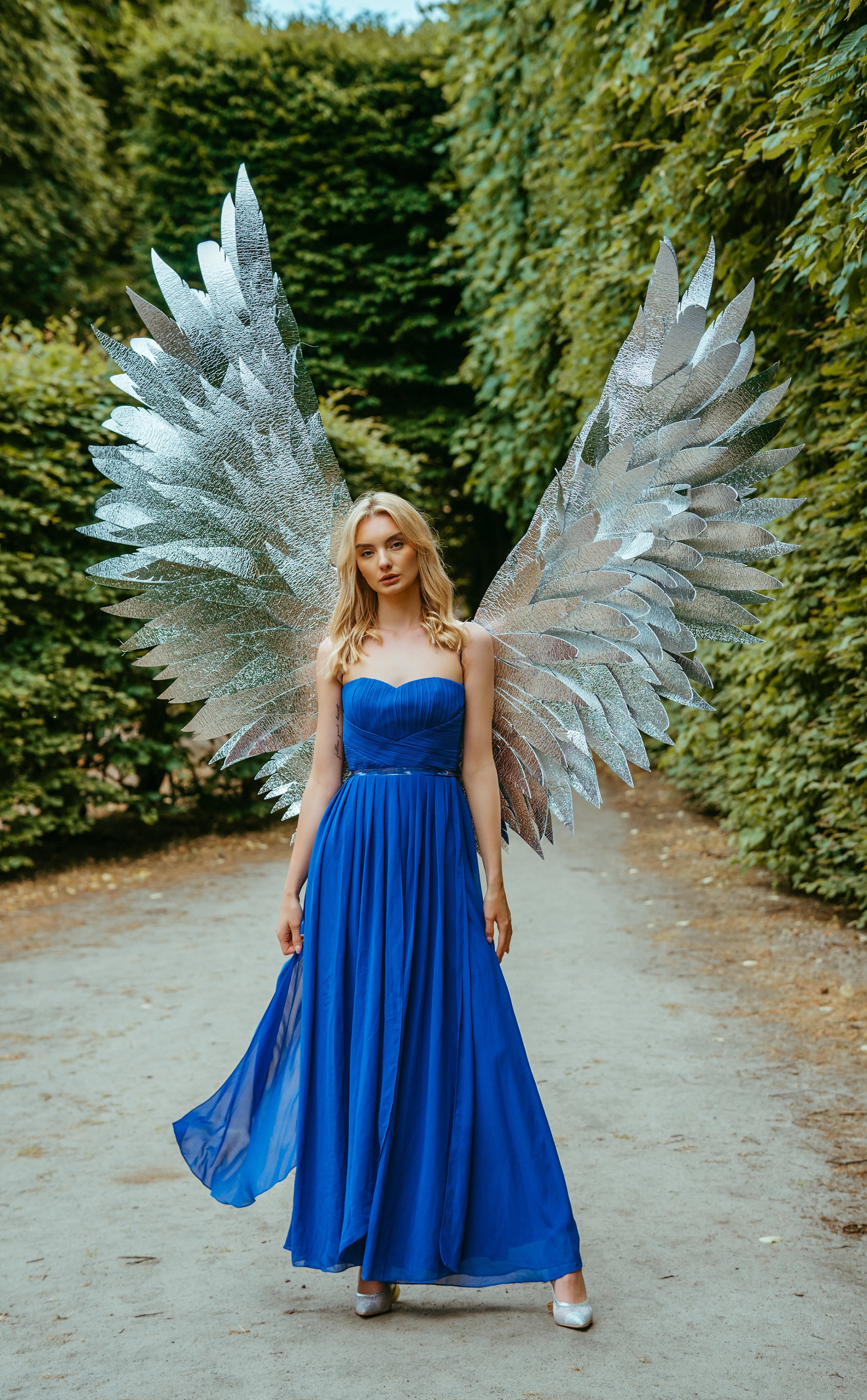 Silver Angel Wings, Silver Wings, Bright Wings, Bird Wings