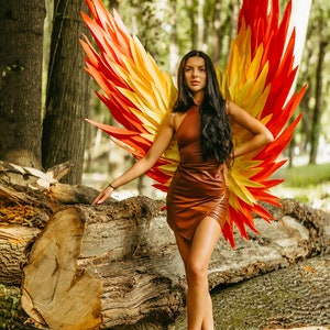 Phoenix wings, colored wings, bright wings , angel wings , cosplay costume