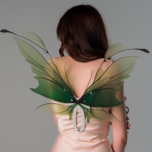 Puede incluir: Alas de hada verdes y amarillas con detalles de venas negras. Las alas están unidas a una pieza trasera plateada con un lazo. Las alas son translúcidas y parecen estar hechas de un material ligero. Las alas se llevan en la espalda.