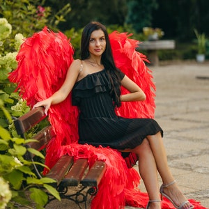 Fairy red angel wings Cupid wings Red angel wings for photoshoot Large red wings Cosplay costume Accessory for party and dance perfomances