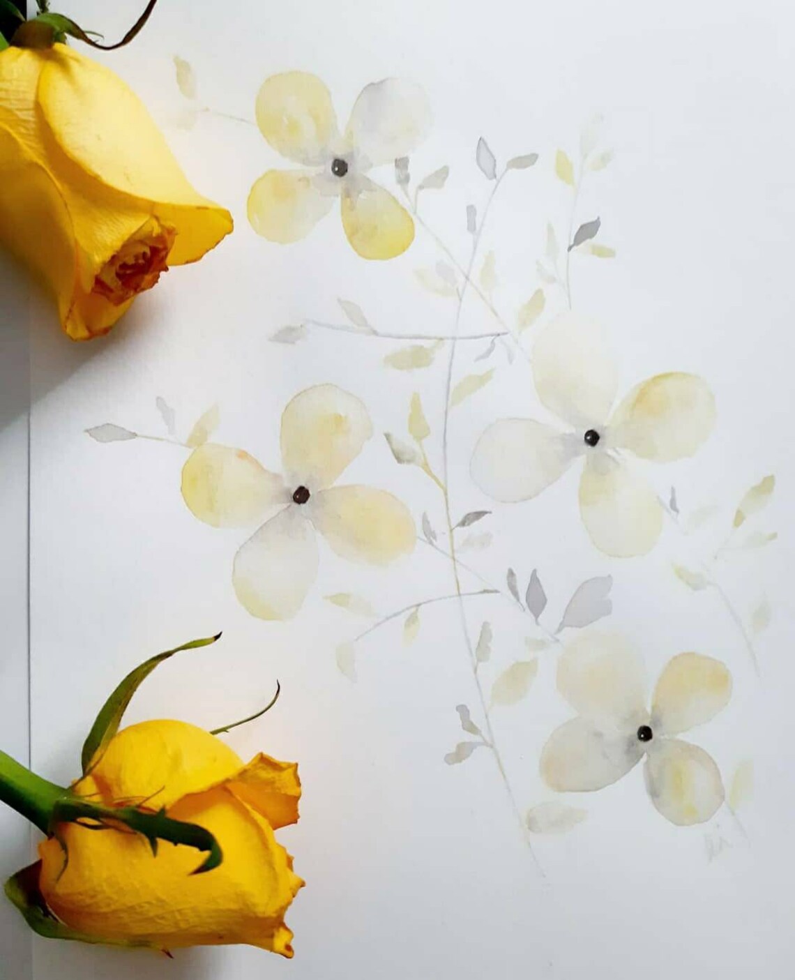 Mustard flowers Original watercolour floral painting Etsy