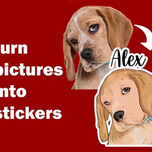 Pet Sticker, Pet Photo Sticker, Dog Sticker, Cat Sticker, Custom Pet Sticker, Custom Pet Photo Sticker, Photo Pet Sticker