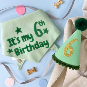 Chapéu e bandana para aniversário de cachorro | Traje personalizado para aniversário de cachorro | Chapéu e bandana combinando para aniversário de cachorro | Fantasia para festa de aniversário de gato