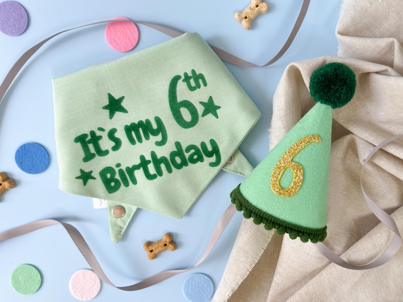Dog Birthday Hat and Bandana | Custom Dog Birthday Outfit | Birthday Pawty Matching Hat and Bandana | Cat Age Birthday Party Costume