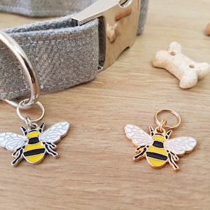 May include: Two bee-shaped dog tags, one silver and one gold, with white wings and black and yellow stripes. The tags are attached to a grey dog collar.