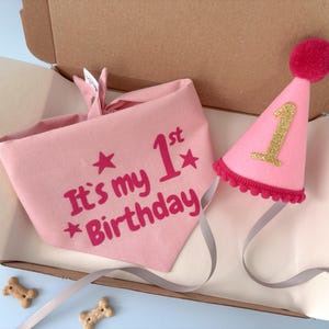 May include: A pink dog bandana and party hat set for a first birthday. The bandana has the text "It's my 1st Birthday" in pink. The party hat is pink with a gold "1" and a red pom-pom.