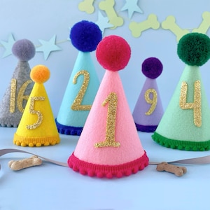 Dog Birthday Party Hat | Cat Party Hat with Age | Custom Dog Birthday Pawty Outfit