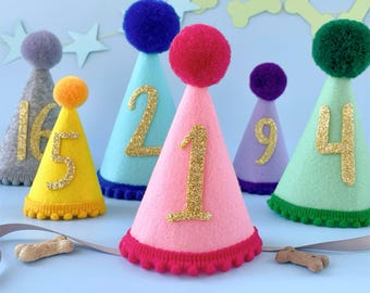 Dog Birthday Party Hat | Cat Party Hat with Age | Custom Dog Birthday Pawty Outfit