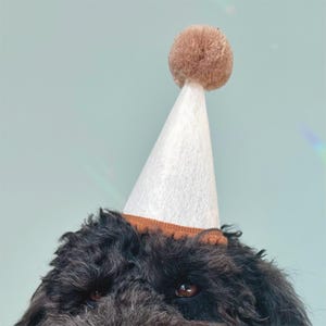 Neutral Dog Birthday Party Hat | Beige Pet Pawty Hat | Cat Birthday Hat