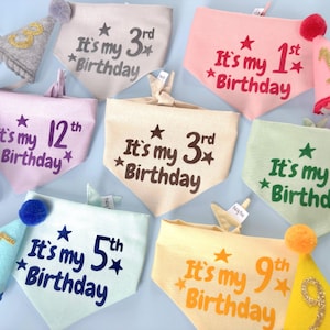 May include: A collection of birthday-themed dog bandanas and party hats. The bandanas are in various colors, each with the text "It's my [number]th Birthday" and star accents. Matching party hats with pom-poms and numbers complete the festive look.