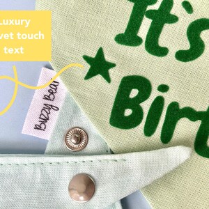 May include: A light green dog bandana with the text "It's my Birth" in green, along with a green star. The bandana has a snap closure and a tag that says "Buzzy Bear".