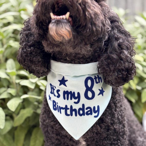 Dog Birthday Bandana | Pet Dog Birthday Bandana | Cat Age Birthday Outfit | Dog Birthday Accessory