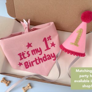 Op de afbeelding: Een roze verjaardagsset voor huisdieren met een bandana met de tekst "It's my 1st Birthday" en een bijpassende feesthoed met een gouden "1" en een rode pompon. De set zit in een kartonnen doos.