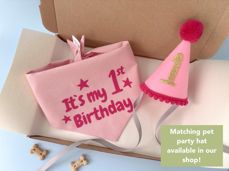 Op de afbeelding: Een roze verjaardagsset voor huisdieren met een bandana met de tekst "It's my 1st Birthday" en een bijpassende feesthoed met een gouden "1" en een rode pompon. De set zit in een kartonnen doos.