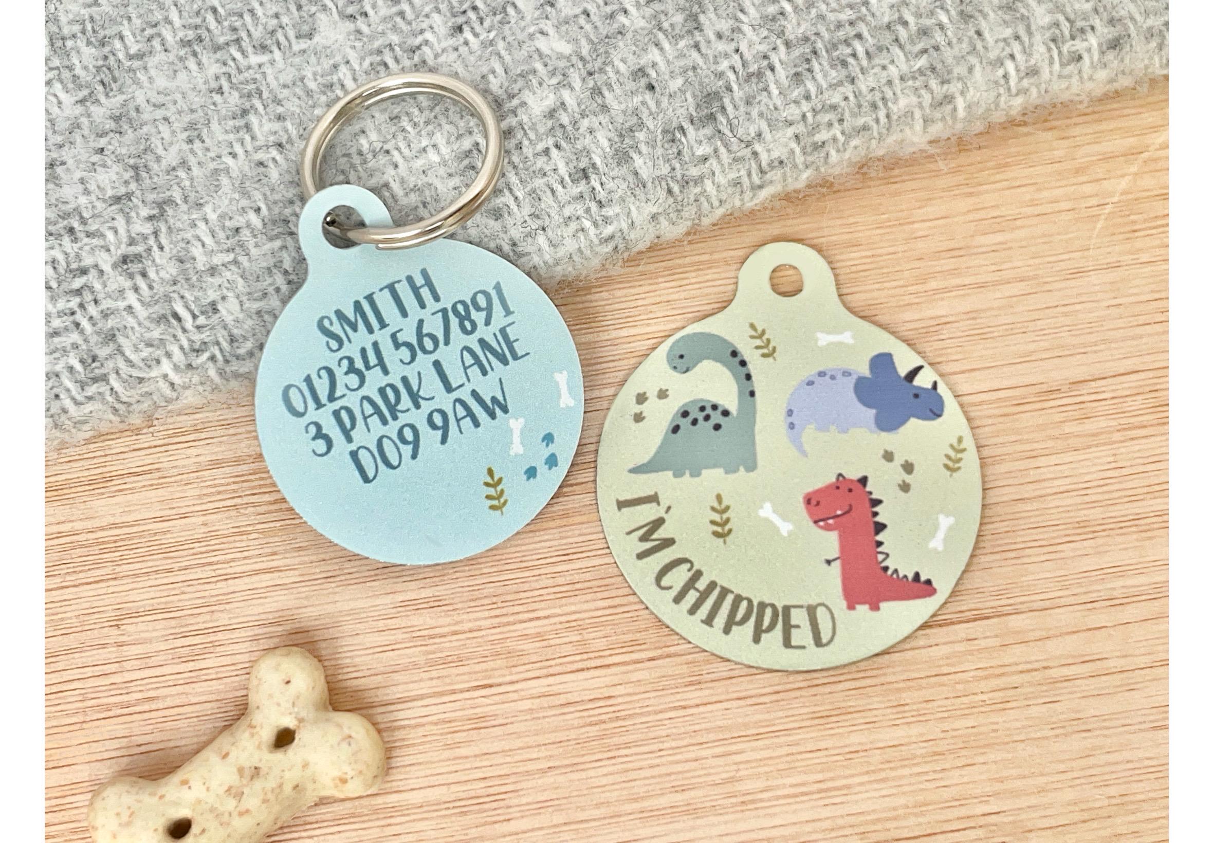 Dinosaur Pet ID Tag | Custom Dino Dog ID Tag | Tag for Boy Cats ...