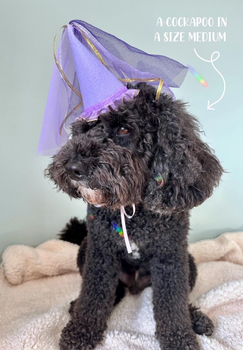 Pet Princess Hat | Dog Princess Hat | Medieval Cat Princess Costume - Etsy