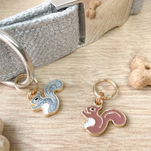 Squirrel Collar Charm | Squirrel Dog Accessory | Woodland Animal Dog Tag Charm | Funny Pet Gifts | Dog Squirrel Collar Accessories