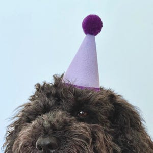 Dog Party Hat | Cat Birthday Party Hat | Colourful Dog Birthday Hat | Hats for Pets | Pet Birthday Party Accessories | Dog Birthday Gift