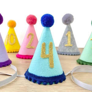 Dog Birthday Party Hat Cat Party Hat with Age Custom Dog Birthday Hat Pet Cone Hat Pet Birthday Supplies Dog Party Outfit image 1