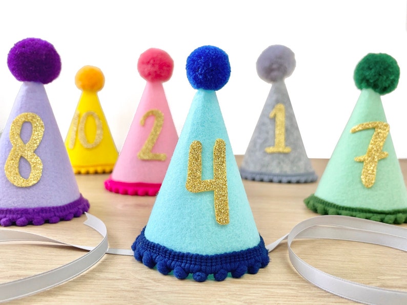 Dog Birthday Party Hat Cat Party Hat with Age Custom Dog Birthday Hat Pet Cone Hat Pet Birthday Supplies Dog Party Outfit image 1