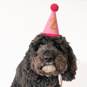 Dog Birthday Party Hat Cat Party Hat with Age Custom Dog Birthday Hat Pet Cone Hat Pet Birthday Supplies Dog Party Outfit image 4