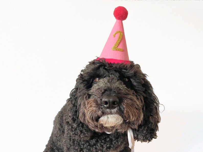 Dog Birthday Party Hat Cat Party Hat with Age Custom Dog Birthday Hat Pet Cone Hat Pet Birthday Supplies Dog Party Outfit image 4