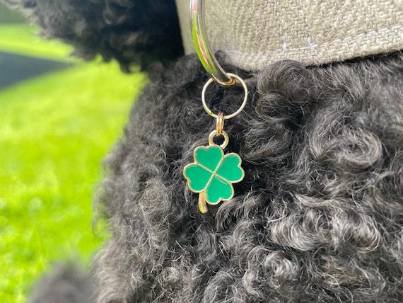 Four Leaf Clover Collar Charm Lucky Clover Dog Collar Jewellery St Patricks Day Dog Collar Accessories Four Leaf Clover Cat Charm Etsy