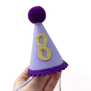 Dog Birthday Party Hat Cat Party Hat with Age Custom Dog Birthday Hat Pet Cone Hat Pet Birthday Supplies Dog Party Outfit image 3