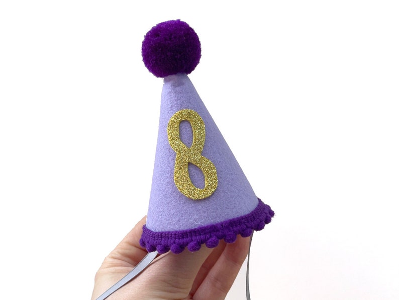 Dog Birthday Party Hat Cat Party Hat with Age Custom Dog Birthday Hat Pet Cone Hat Pet Birthday Supplies Dog Party Outfit image 3