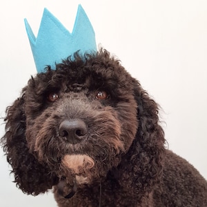 Pet Crown Custom Dog Birthday Crown Hats for Cats Dog Birthday Outfits Pet Birthday Party Decoration Cat Birthday Hat image 1