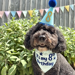 May include: A black dog wearing a light blue birthday hat with a gold number 8 and a blue pom-pom. The dog also wears a white bandana that says "It's my 8th Birthday" in blue text.