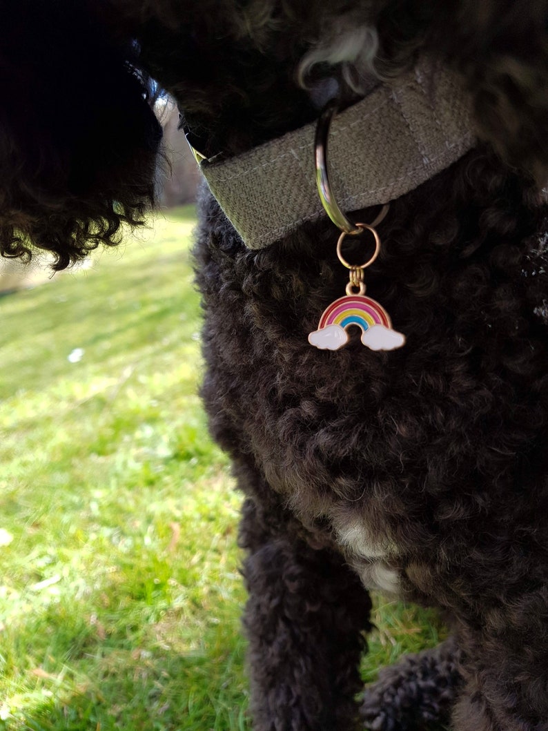 Rainbow Collar Charm | Rainbow Dog Collar Accessory | Cat Collar Jewellery | Rainbow for Dogs | Rainbow Collar Add-On | Pet Pride Decoration image 2