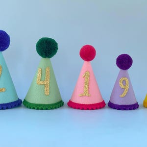 May include: Five colorful birthday party hats. Each cone-shaped hat has a pom-pom on top and a gold glitter number. Colors include blue, green, pink, purple, and yellow. The hats are trimmed with a matching color trim.