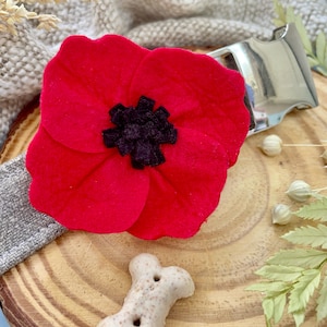Accessorio collare papavero / Fiore collare cane papavero / Accessorio fiore cane / Fiore per animale domestico / Fiore collare rosso / Decorazione collare papavero