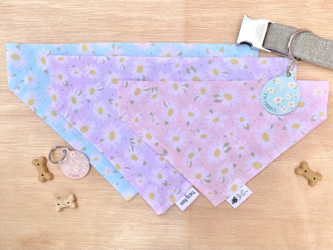 Bandana pour chien - Daisie 🌼 - The Paws main image 0