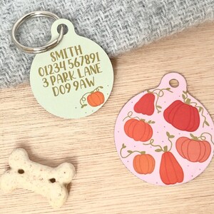 May include: Two round dog tags. One is green with gold text that reads "SMITH 01234 567891 3 PARK LANE DOG 9AW" and a small gold pumpkin. The other is pink with a pattern of orange pumpkins and vines.