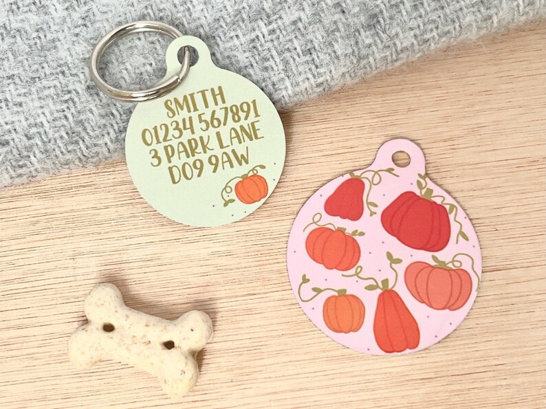 May include: Two round dog tags. One is green with gold text that reads "SMITH 01234 567891 3 PARK LANE DOG 9AW" and a small gold pumpkin. The other is pink with a pattern of orange pumpkins and vines.