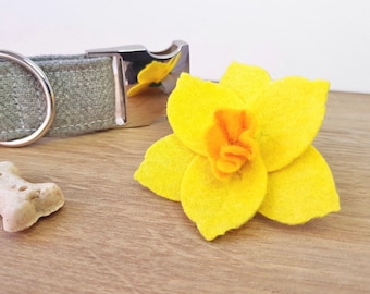 Daffodil Collar Accessory | Spring Dog Collar Flower | St David’s Day Dog Charm | Pet Flower Accessories | Welsh Daffodil Collar Decoration