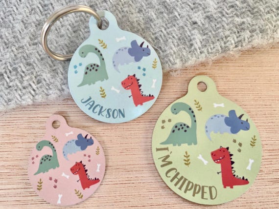 Dinosaur Pet ID Tag | Custom Dino Dog ID Tag | Tag for Boy Cats | Dinosaur Dog Accessories