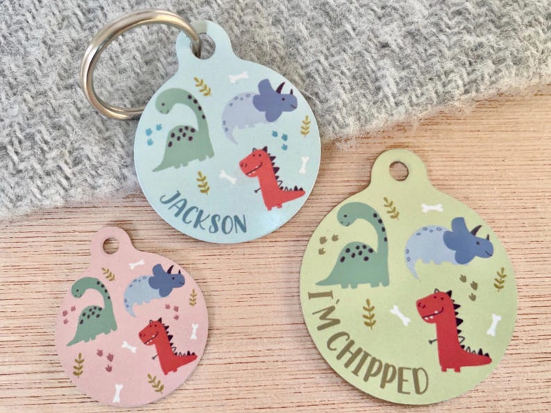 Targhetta identificativa per animali domestici a forma di dinosauro / Targhetta identificativa personalizzata per cani a forma di dinosauro / Targhetta per gatti maschi / Accessori per cani a forma di dinosauro immagine 1