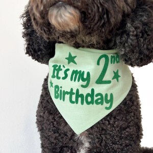 Op de afbeelding: Een lichtgroene bandana voor honden met de tekst "It's my 2nd Birthday" in het groen. De bandana wordt gedragen door een hond met donkere, krullende vacht. De tekst is omgeven door groene sterren.