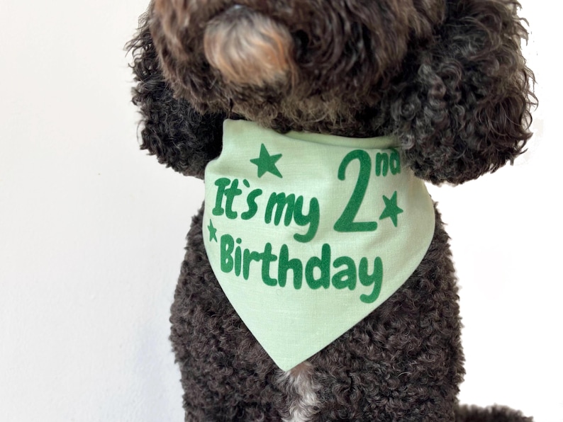 Op de afbeelding: Een lichtgroene bandana voor honden met de tekst "It's my 2nd Birthday" in het groen. De bandana wordt gedragen door een hond met donkere, krullende vacht. De tekst is omgeven door groene sterren.