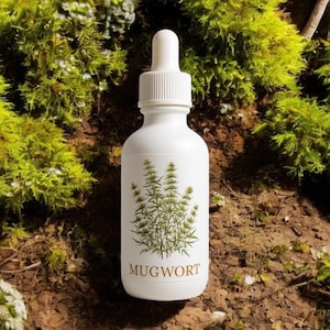 Wildcrafted Mugwort Tincture