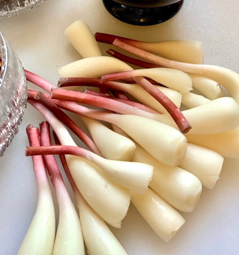 Fresh Ramp Bulbs Etsy