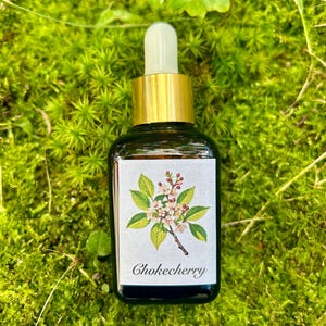 Esencia de flor de cerezo silvestre