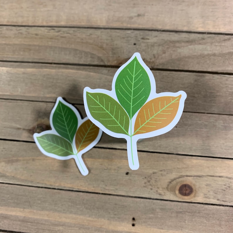3 Leaf Nature Waterproof Sticker