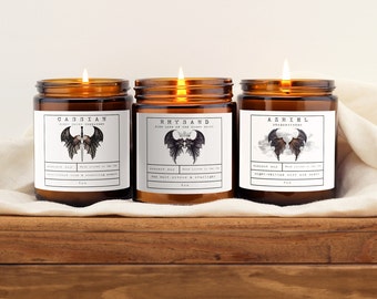 Bat Boy Candle Set of 3 | acotar, acomaf, Book Lover Candle, Book Scented Candle, Literary Inspired Candle | Cassian, Rhysand, Azriel