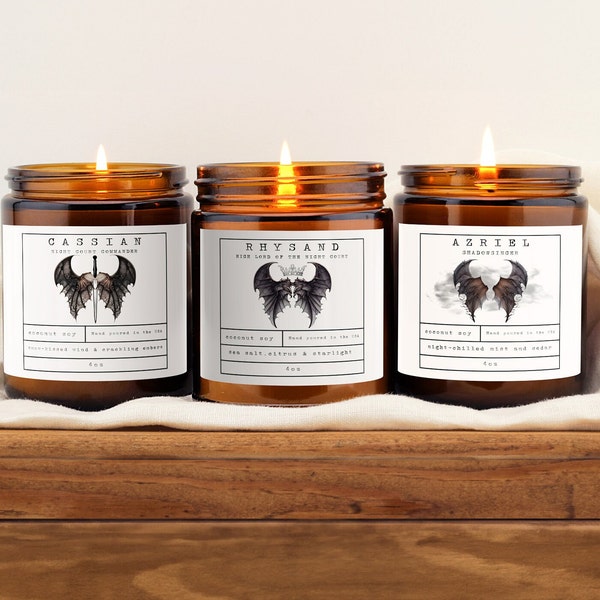 Bat Boy Candle Set of 3 | acotar, acomaf, Book Lover Candle, Book Scented Candle, Literary Inspired Candle | Cassian, Rhysand, Azriel