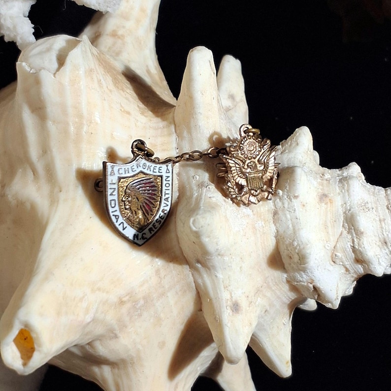 May include: Two vintage pins connected by a chain. One pin is shield-shaped with "Cherokee Indian NC Reservation" text and a Native American profile. The other pin is a gold-colored emblem with an eagle and shield.