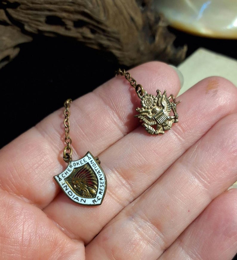 May include: Two vintage metal pins with chain attachments. One pin features a shield design with the text "Cherokee Indian Aviation N.C. Reserve" and a Native American profile. The other pin is a gold-colored emblem with an eagle and shield.